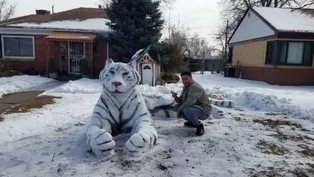 साप, बर्फ