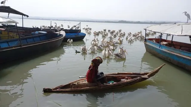 አንድ ዓሣ አስጋሪ በጣና ሐይቅ ላይ