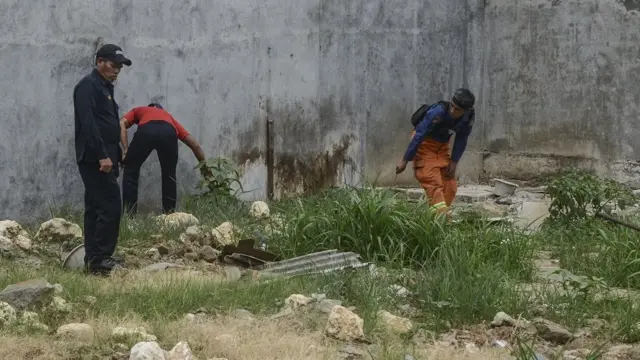 Pencarian ular kobra