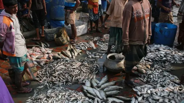 বাজারে মাছ।