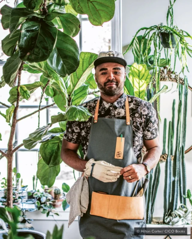 Hilton Karter/CICO Books