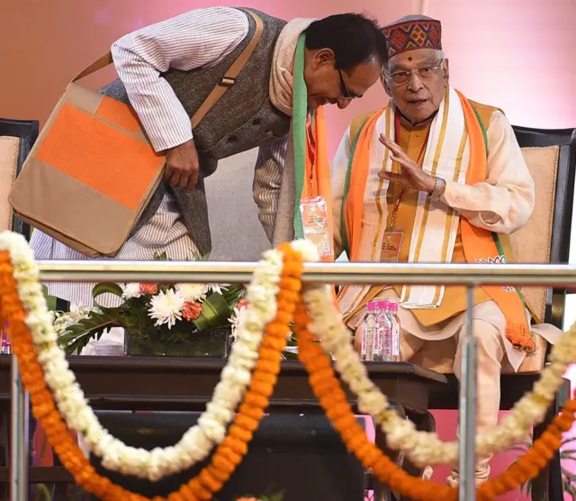 मुरली मनोहर जोशी, बीजेपी, राष्ट्रीय कार्यकारिणी