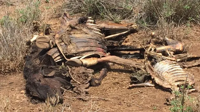 U koplab guruh jinsiy aloqalaridan biridir