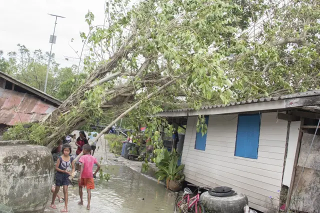 ต้นไม้ใหญ่อายุหลายสิบปี โค่นล้มใส่ตัวบ้าน โชคดีไม่มีใครบาดเจ็บ