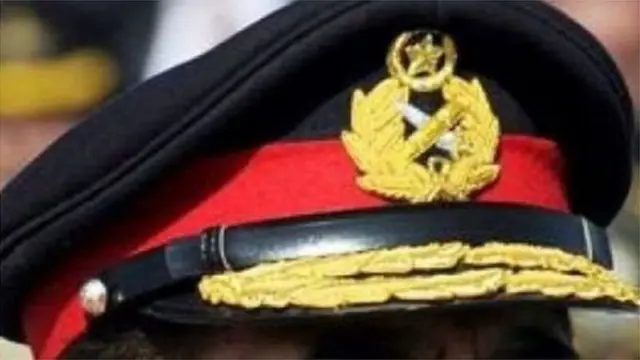 محکمہ زراعت، پاکستانی سیاست