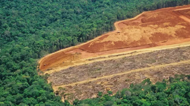 Área desmatada na Amazônia