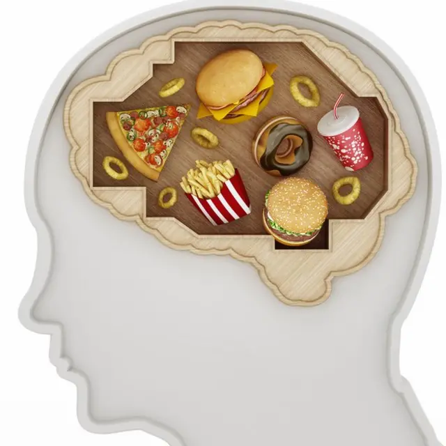 Comida chatarra en cerebro