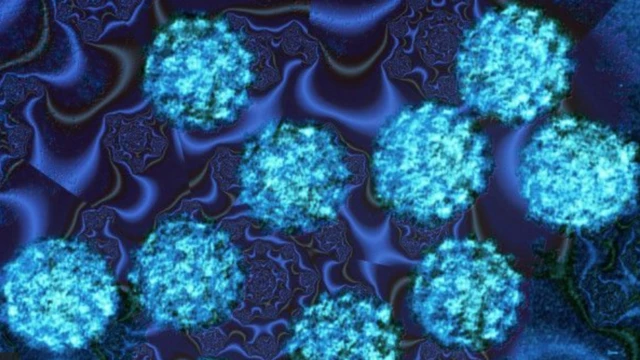 Le VPH est à l'origine de 70 % des cancers du col de l'utérus.