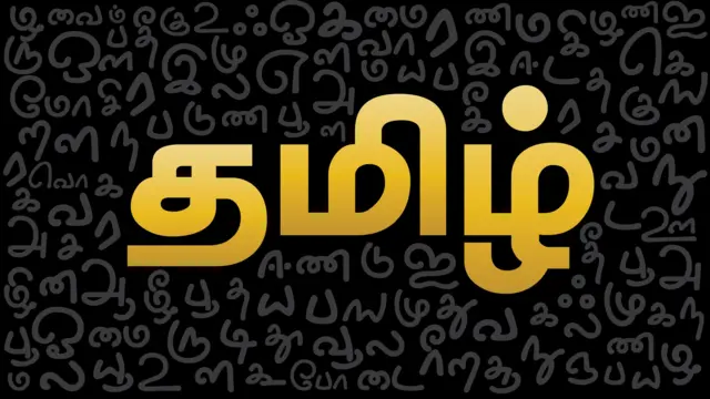 கமல்ஹாசன், கன்னட மொழி சர்ச்சை, தமிழ் மொழி, கன்னட மொழி,