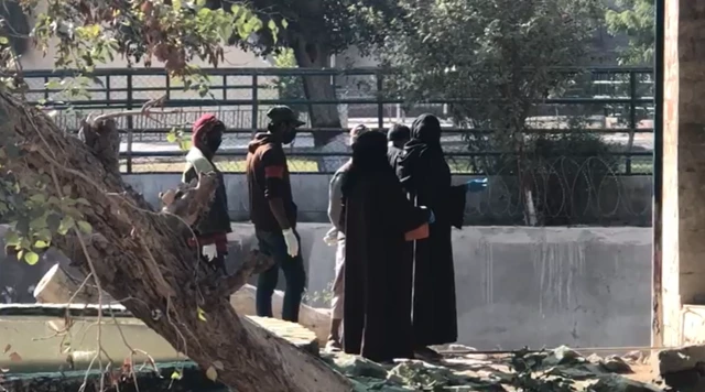 شیر کے پنجرے میں لاش