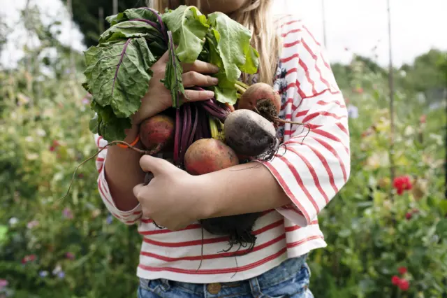 beslenme 
