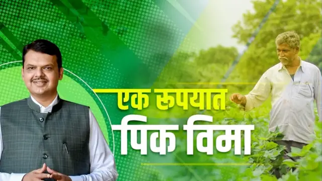 1 रुपयात पीक विमा योजनेचं यश सांगताना करण्यात आलेली जाहिरात.