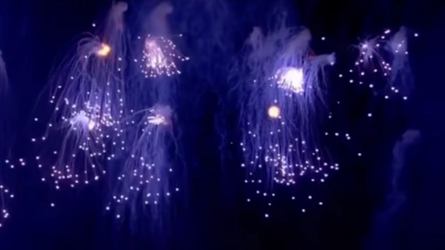 ሰማያዊ ሪቺታት