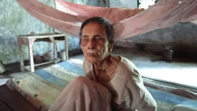 দেশভাগের কারণে প্রায় দশ লাখ মানুষ মারা গিয়েছিলেন, গৃহহীন হয়েছিলেন দেড় কোটি মানুষ। পূর্ব বঙ্গের বরিশাল থেকে উদ্বাস্তু হয়ে পশ্চিমবঙ্গে আসা এক দৃষ্টিহীন নারী কানুমতী বর্মন