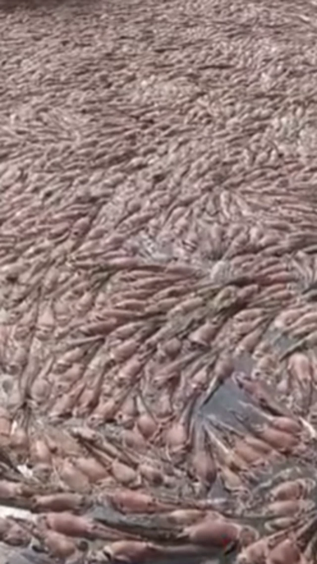 ગુજરાત