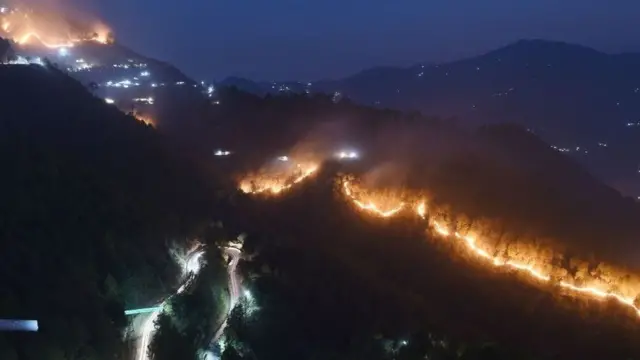 अधिक जलवायु परिवर्तन के कारण लगातार जंगलों में आग लगने की घटनाएं हो सकती हैं