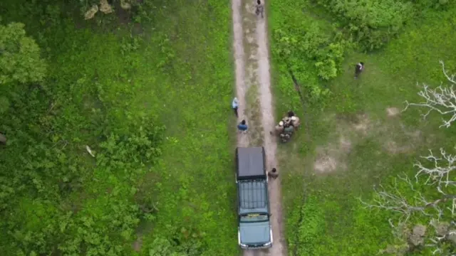 ரிவால்டோவை வனத்தில் விட்ட பிறகு ட்ரோன் மூலம் கண்காணிக்கப்படும் காட்சி