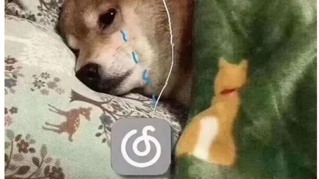 చైనాపై మీమ్స్