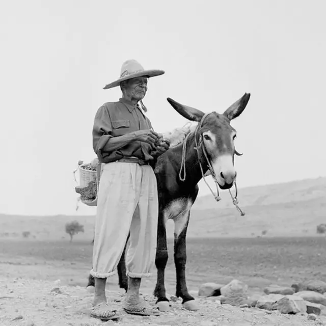 Un hombre con un burro