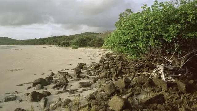 کیپ یارک، آسٹریلیا