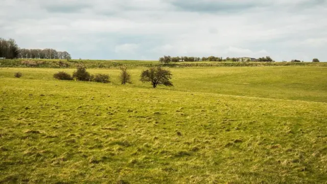 Дарінгтон-Волс