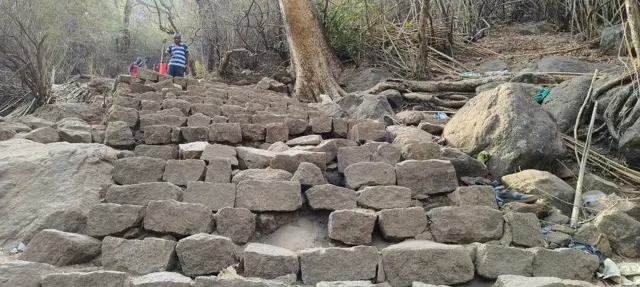 கோவை: வெள்ளியங்கிரி மலை ஏறுவது எவ்வளவு கடினம்? உயிரிழப்புகள் அதிகரிப்பது ஏன்? பிபிசி கள ஆய்வு