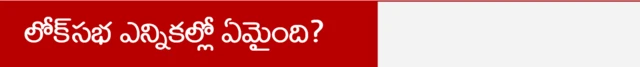 లోక్‌సభ ఎన్నికల్లో ఏం జరిగింది?