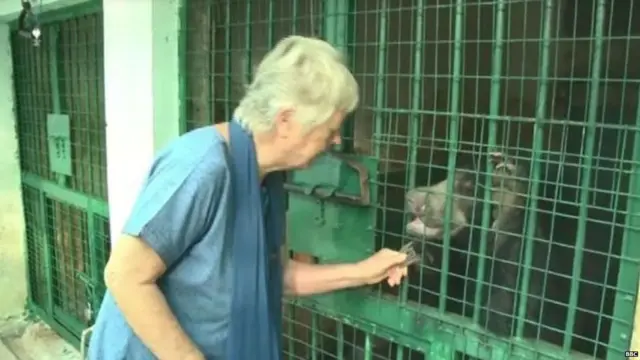 ਹਾਲੈਂਡ ਦੀ ਕਲੇਮੇਨਟੀਨ ਨੇ ਭਾਰਤ ਵਿੱਚ ਪਸ਼ੂਆਂ ਦਾ ਹਸਪਤਾਲ ਵੀ ਖੋਲ੍ਹਿਆ ਹੈ