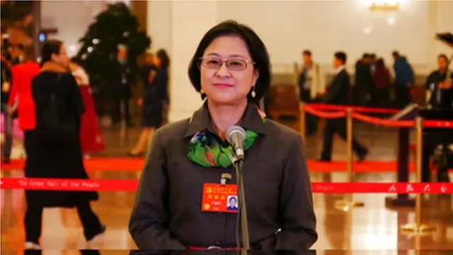 十九大台湾代表卢丽安