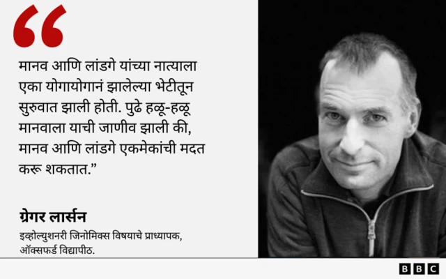 ग्राफिक्स