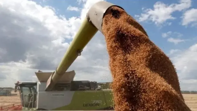 أوكرانيا من أكبر منتجي الذرة والقمح في العالم