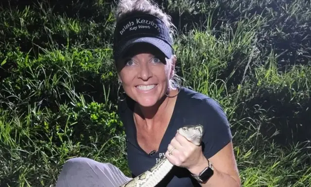 جنوبی فلوریڈا، پائتھن، اژدھے