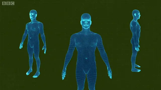 Cuerpos