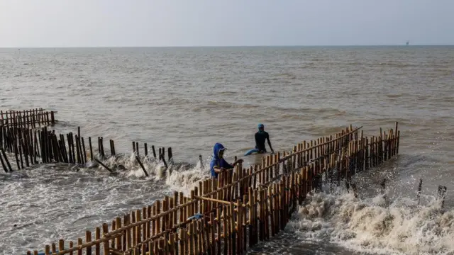 Penduduk desa melakukan pemeliharaan pada tanggul untuk memperlambat laju kenaikan air laut yang berdampak pada desa mereka di Pantai Pisangan, Desa Cemarajaya, Kabupaten Karawang, Jawa Barat.