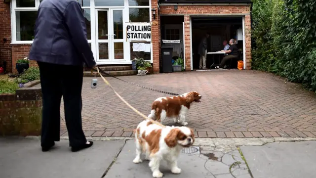 В Кройдоне любят животных. Но не все...