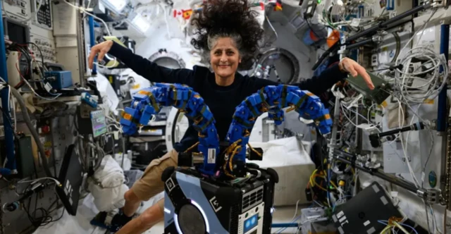 ሱኒ ዊልያምስ 