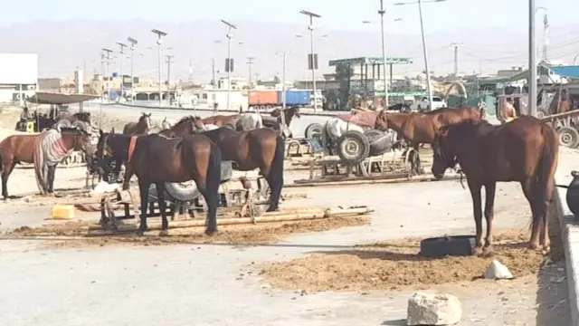 چمن بلوچستان