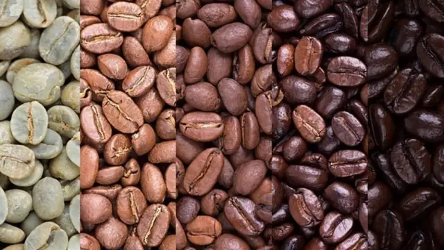 Du café non torréfié (à gauche) au café torréfié foncé (à droite)