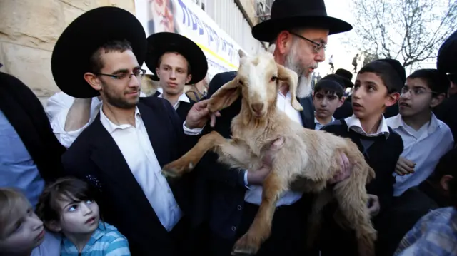 बलि दिने तयारी