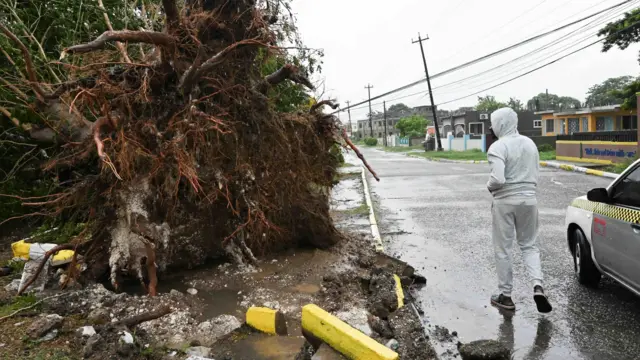 Mężczyzna w szarym dresie patrzy na powalone drzewo w St. Catherine na Jamajce