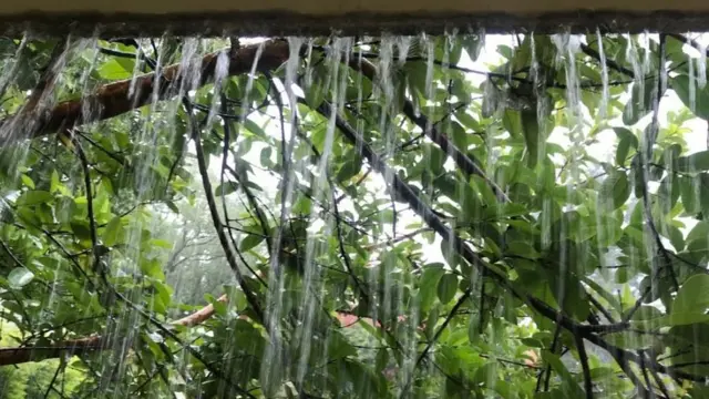 खेर गइरहेको बर्खाको पानी