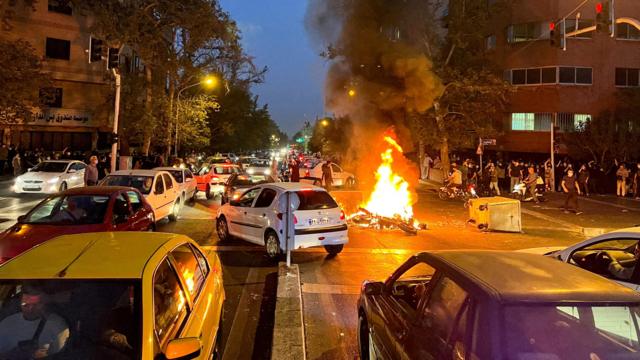 В Башкирии сняли на видео медведя, который бегает по улицам города - дачапокарману-казань.рф | Новости