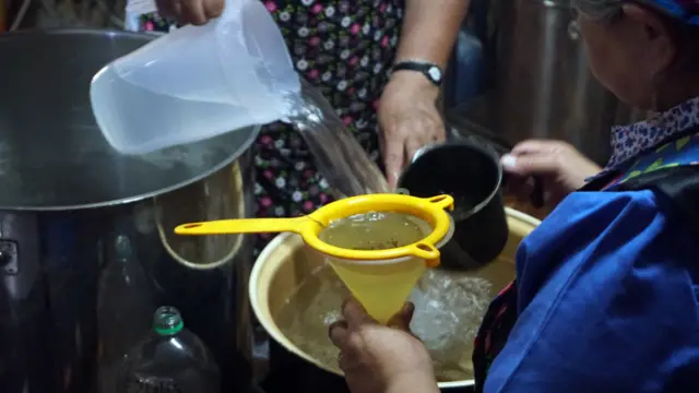 Los medicamentos de la medicina mapuche