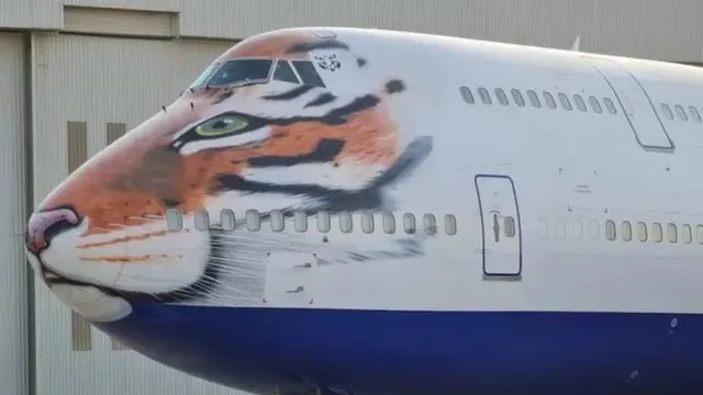 சிவிங்கிப்புலிகள் கொண்டுவரப்படும் விமானம்