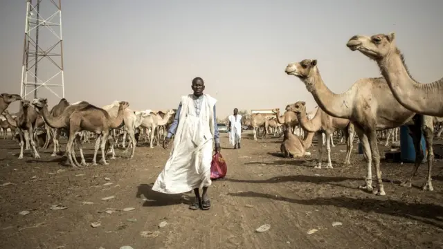 Akarasisi k'ingamiye ziri kugurishwa i Nouakchott, Mauritania, umucuruzi wazo arazinyuramo arambagiza