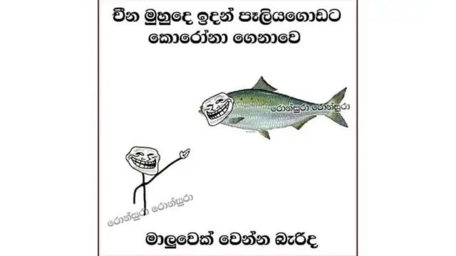 සමාජ මාද්‍යයේ සංසරණය වන චායාරුපයක්