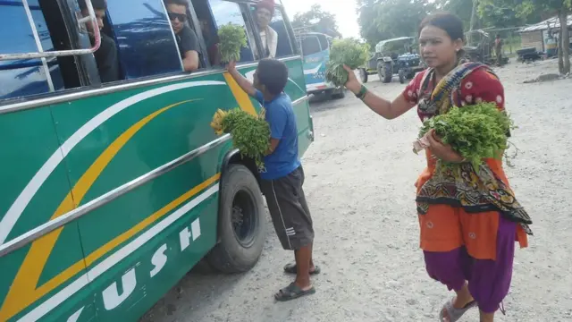 पोषण र साग