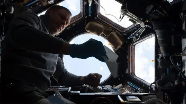 国际空间站上的细菌和真菌在极端清洁环境下存活，尽管人类努力消灭他们，但他们仍然大量繁殖。