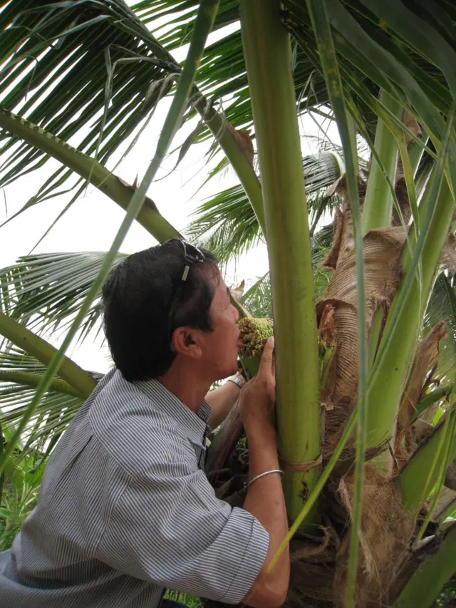 Nguyễn Văn Mỹ
