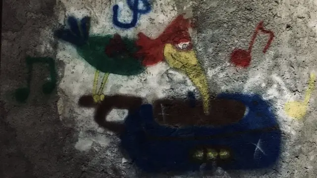 cetinjska grafit